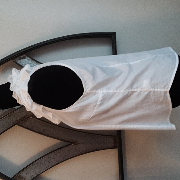 SUNNY LEIGH Light Cotton Sleeveless Ruffled Collar Fitted Blouse - Picture 6 of 12